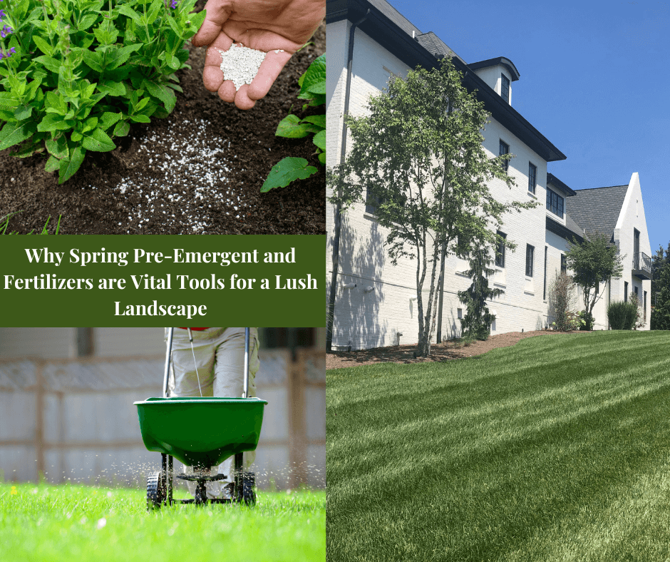 Spring Pre-Emergent and Fertilizer