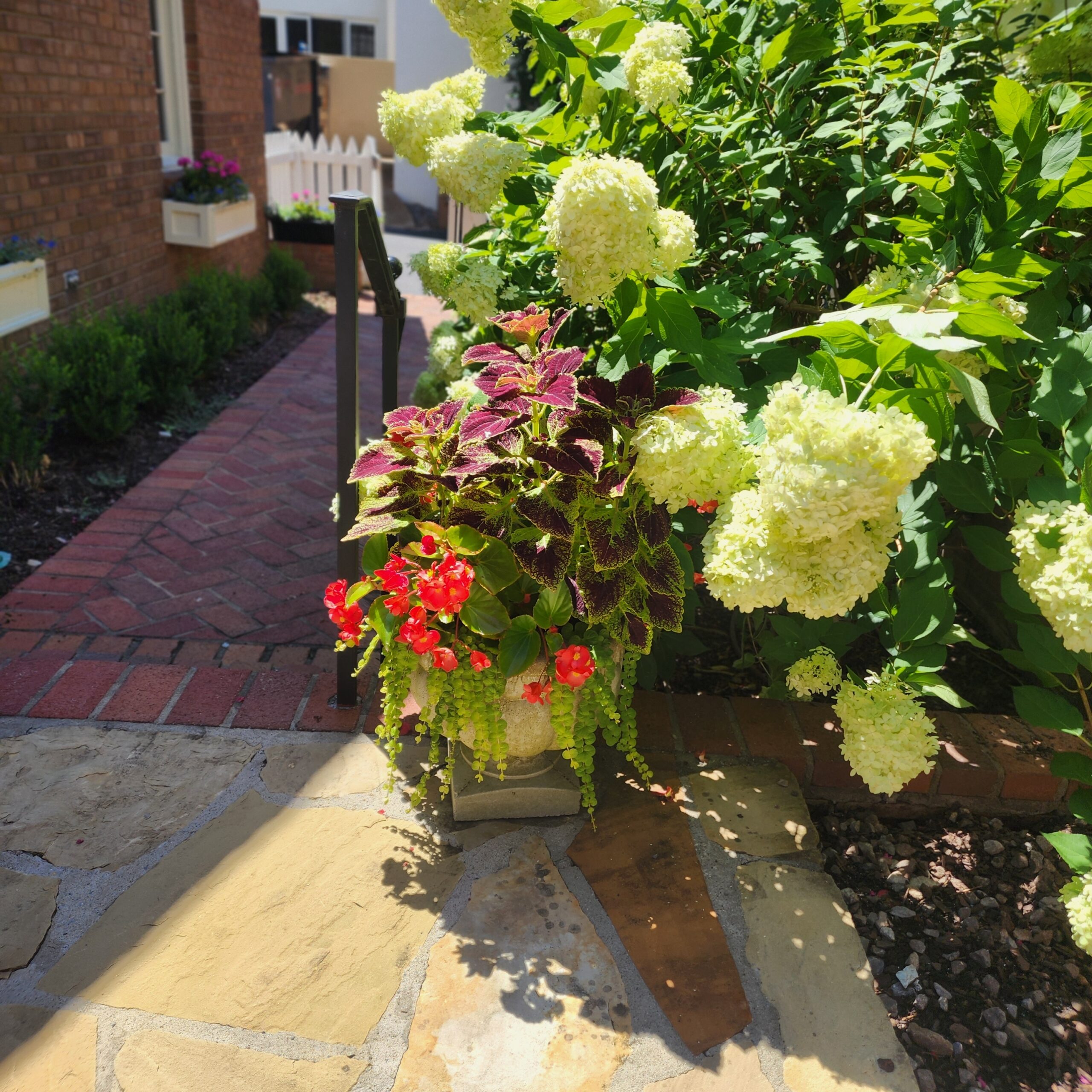 Sustainable landscape design with seasonal annual flowers in Nashville